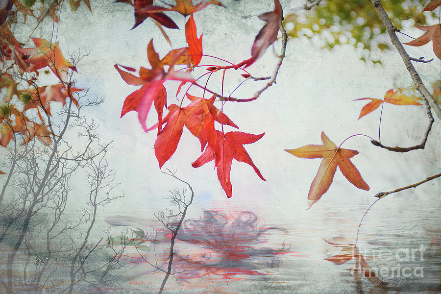Death in Autumn #1 Photograph by Elaine Teague