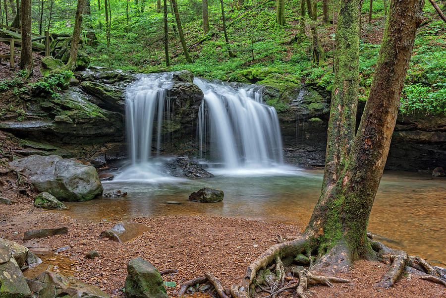 Debord Falls At Frozen Head State Park #1 Photograph by Jim Vallee