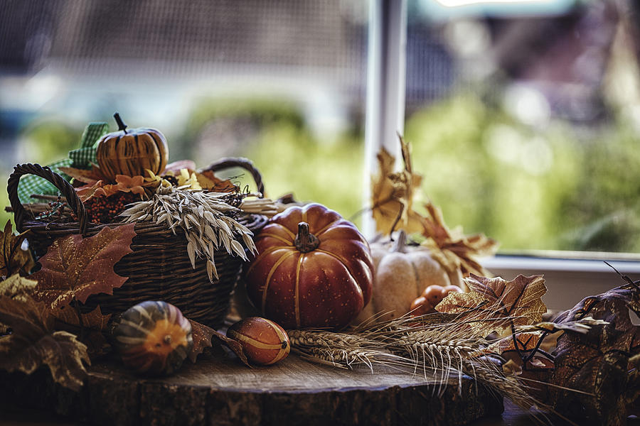 Decorated Window with Pumpkins, Leafs and Nuts #1 Photograph by GMVozd