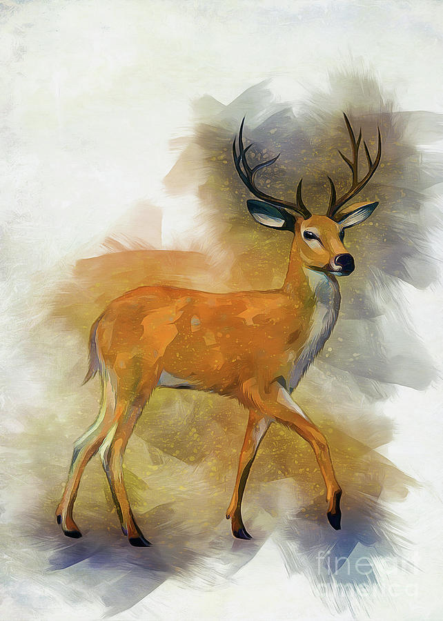 Deer Art #1 Photograph by Ian Mitchell