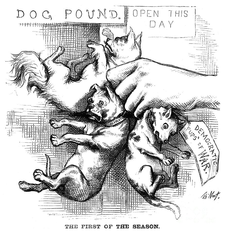 Democratic Party Cartoon, 1879 #2 Drawing by Thomas Nast