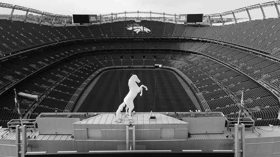 Denver Bronco overlooking Mile High Stadium in black and white #1 Photograph by Eldon McGraw