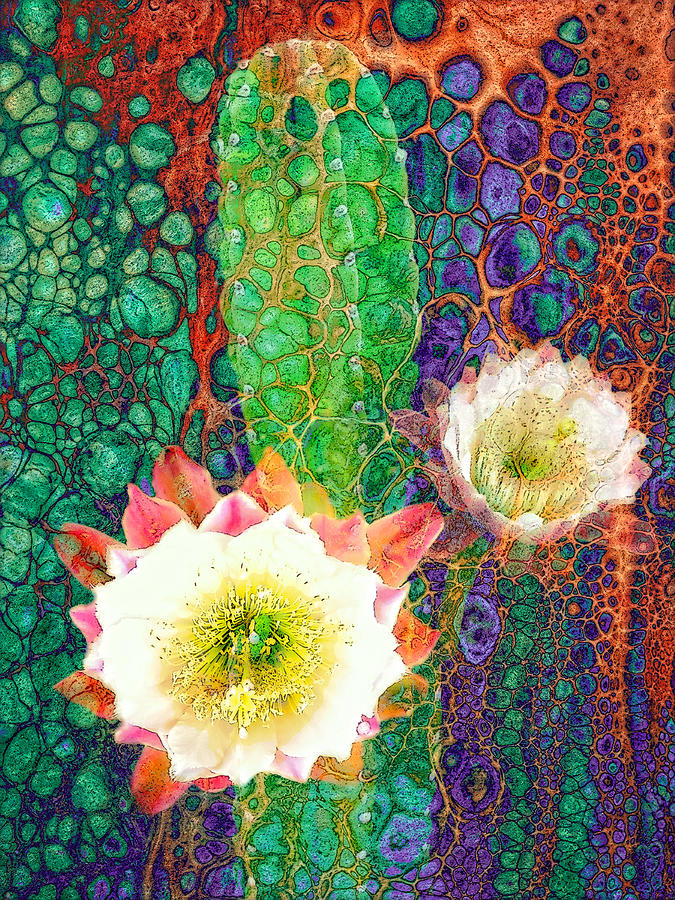 Desert Cactus in Bloom #1 Digital Art by Sandra Selle Rodriguez