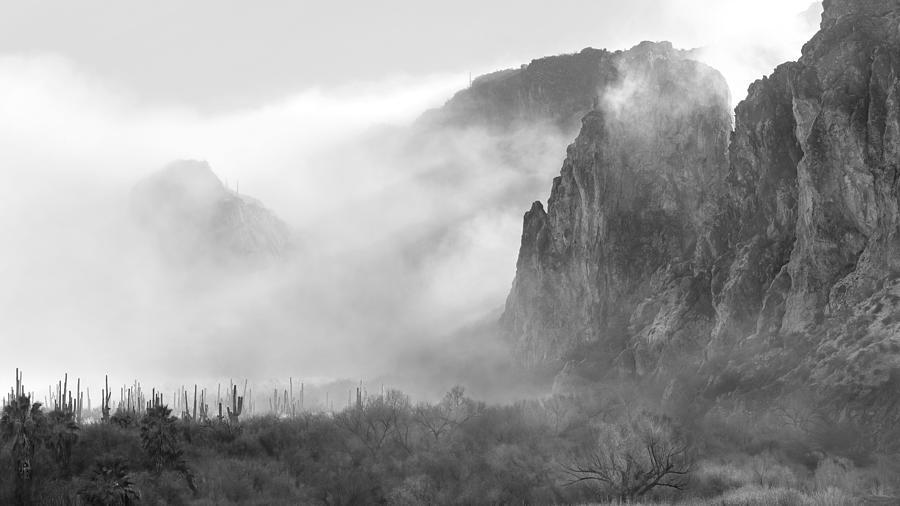 Desert Fog. #1 Photograph by Paul Martin