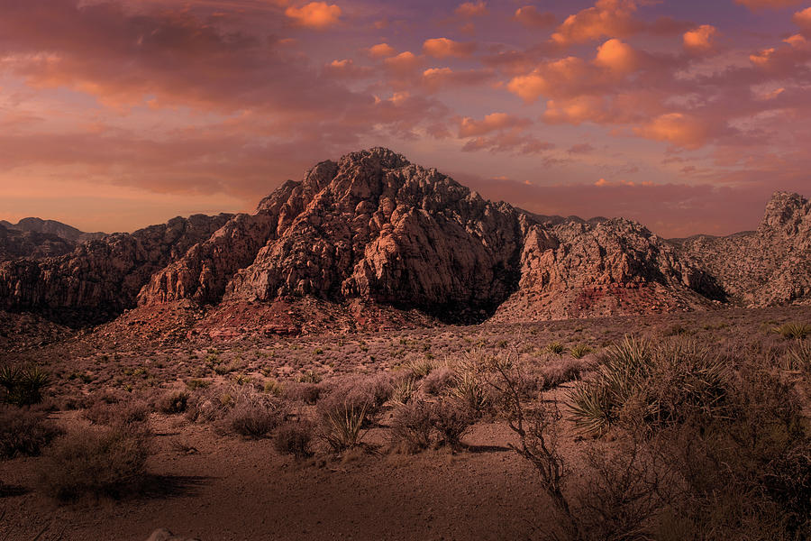 Nature Photograph - Desert Glow #1 by Frank Wilson