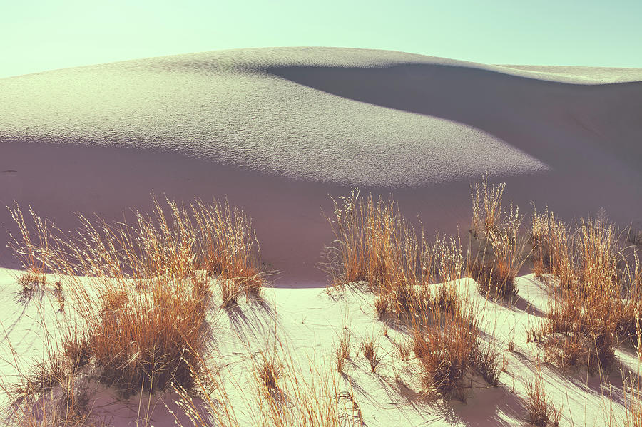Desert Heat #2 Photograph by Jonathan Nguyen