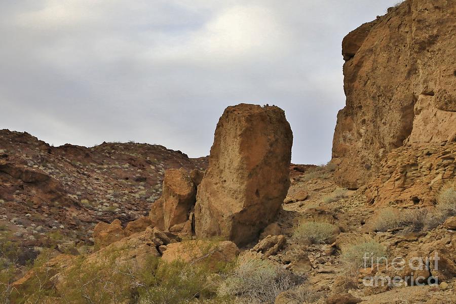 Nature Photograph - Desert in Southwestern United States #1 by Douglas Sacha
