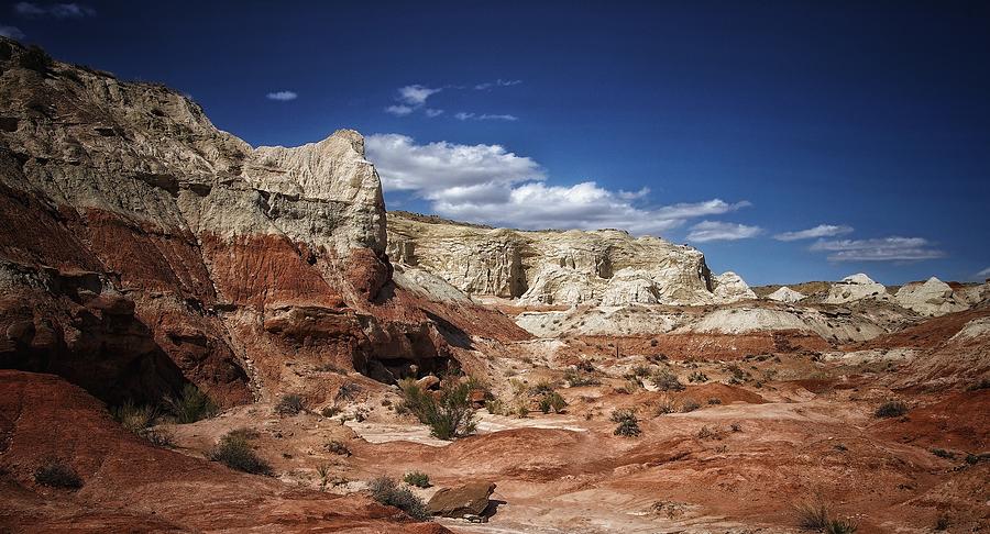 Desert Landscape Grand Staircase Escelante Photograph by Bruce Moore