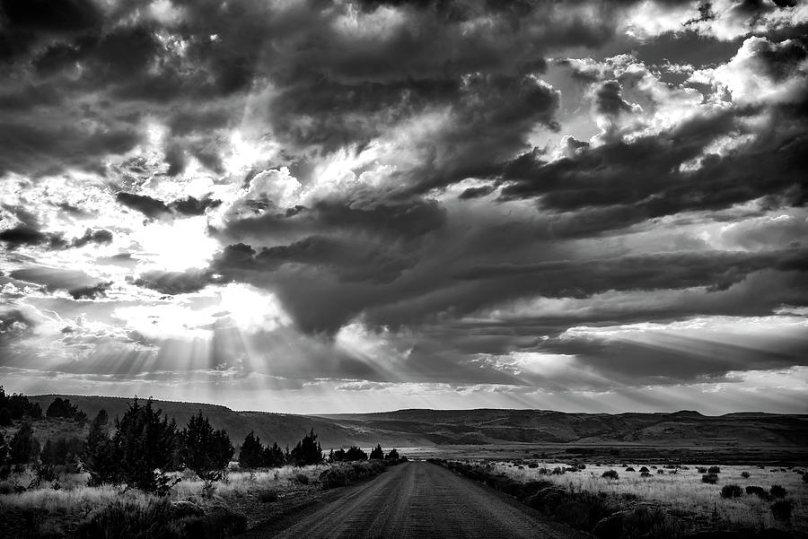 Desert Light #1 Photograph by Steven Clark