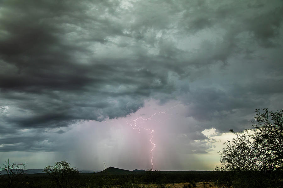 Desert monsoon Photograph by Patricia Albrecht - Fine Art America