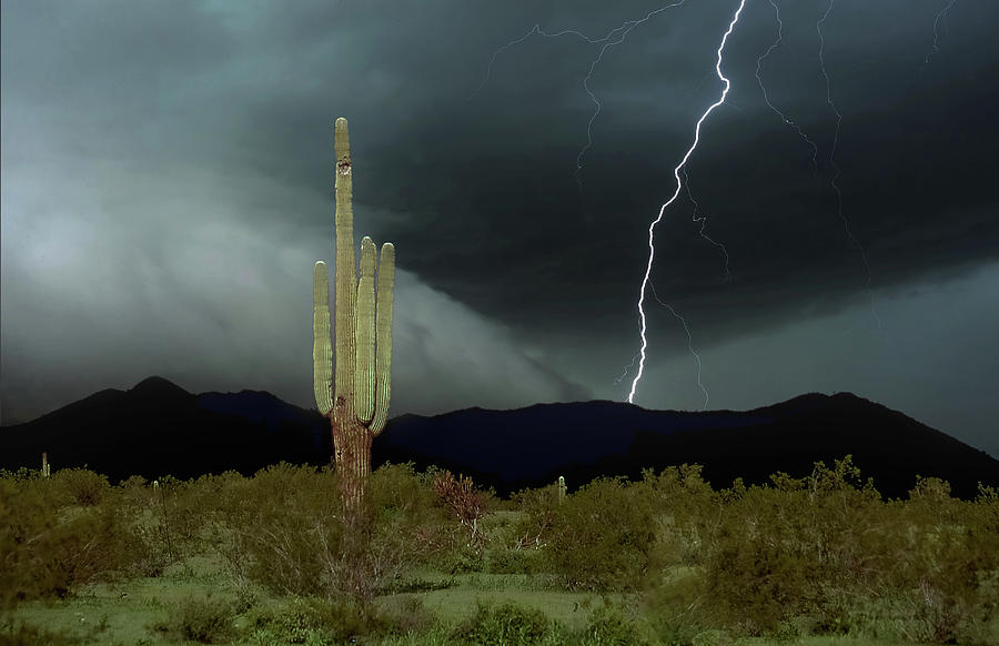 Desert Storm Photograph by Jim Painter