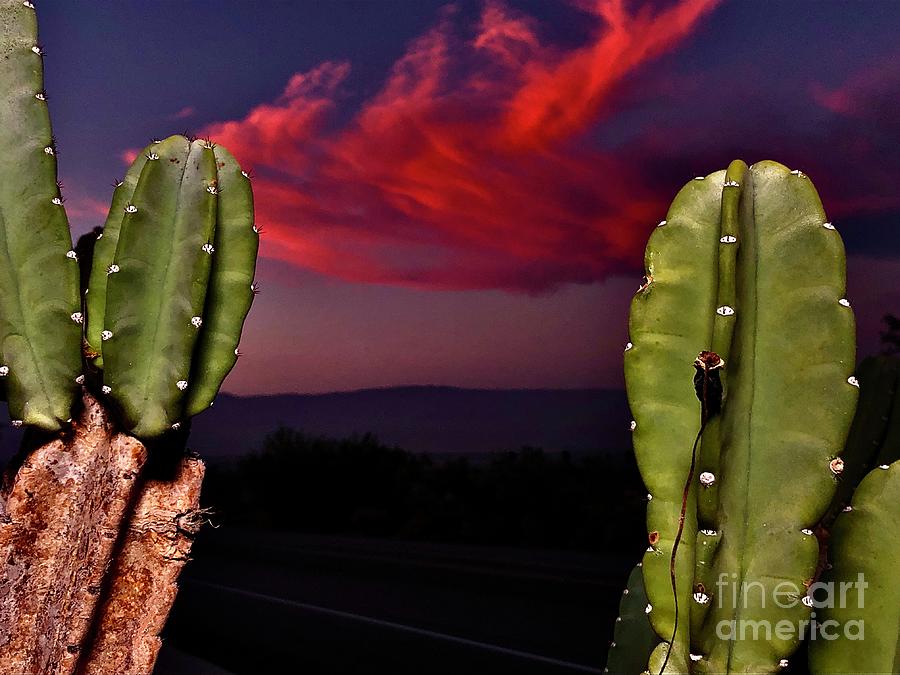 Desert Sunset #2 Pyrography by Chris Tarpening