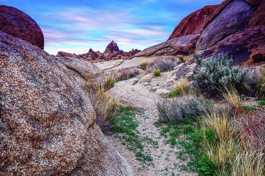 Desert Trail #1 Photograph by Spencer McDonald