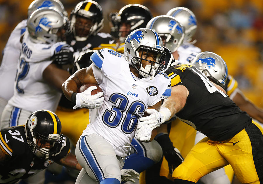 Detroit Lions v Pittsburgh Steelers #1 Photograph by Justin K. Aller