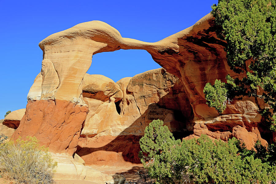 Devils Garden - Grand Staircase-Escalante #4 Photograph by Richard Krebs