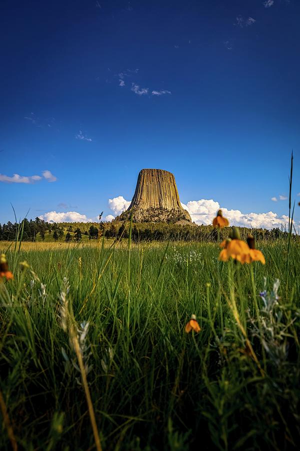 Mountain Photograph - Devils Tower #1 by Brian Venghous