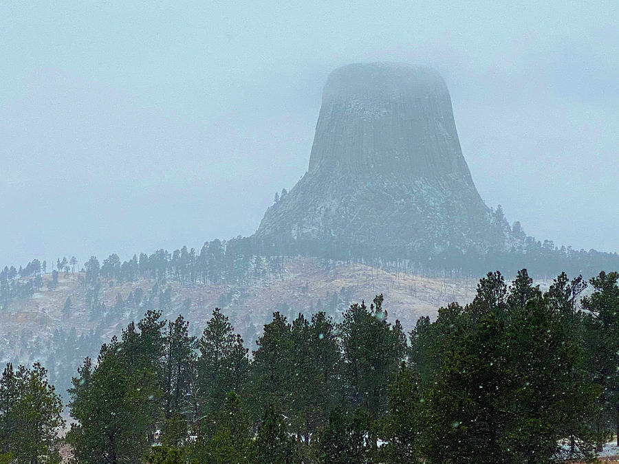 Devils Tower Wyoming #1 Painting by Ses