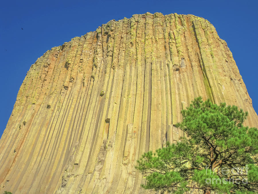 Devils Tower Wyoming #1 Photograph by Benny Marty