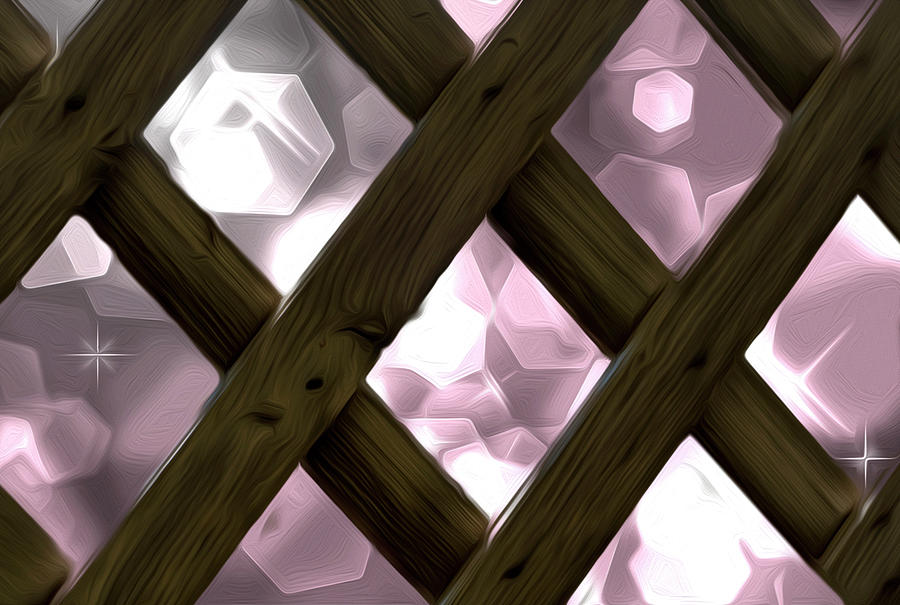 Diamond Fence Abstract Photograph