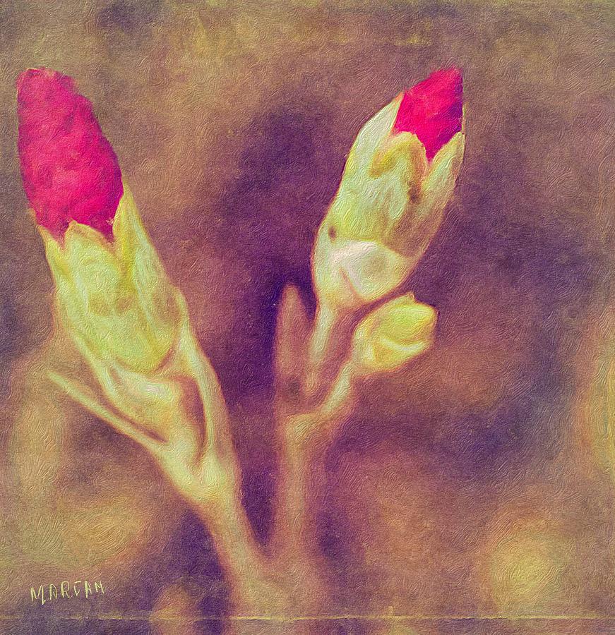 Dianthus  #1 Digital Art by Mariam Bazzi