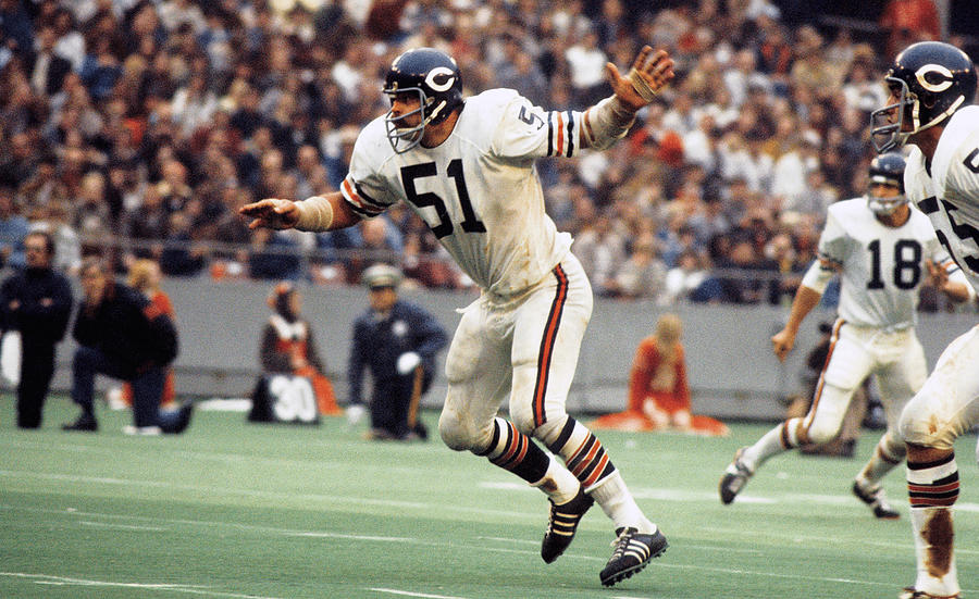 Dick Butkus Chicago Bears Middle Linebacker #1 Photograph by Action