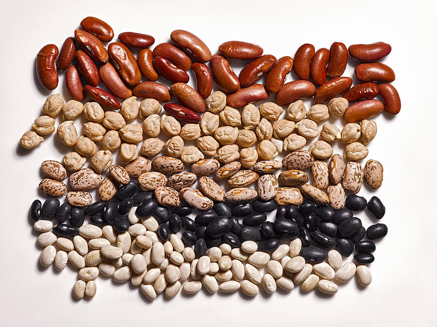 Different types of beans on white background. #1 Photograph by Pulse