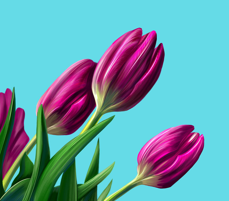 Digital Drawing Of Three Tulips Digital Art By Josephine Popova Fine