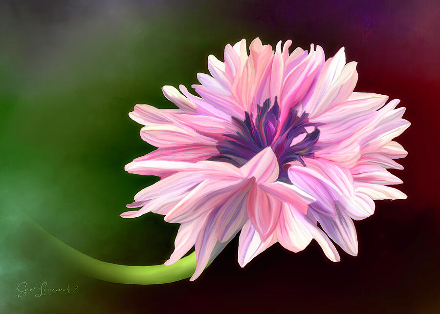 Digitally Painted Cornflower #1 Photograph by Sue Leonard Digitally Painted Cornflower #1 Photograph by Sue Leonard
