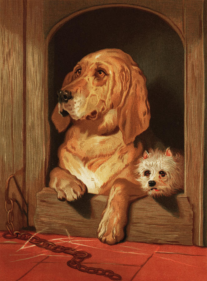 Architecture Painting - Dignity and Impudence by Sir Edwin Landseer  by Mango Art