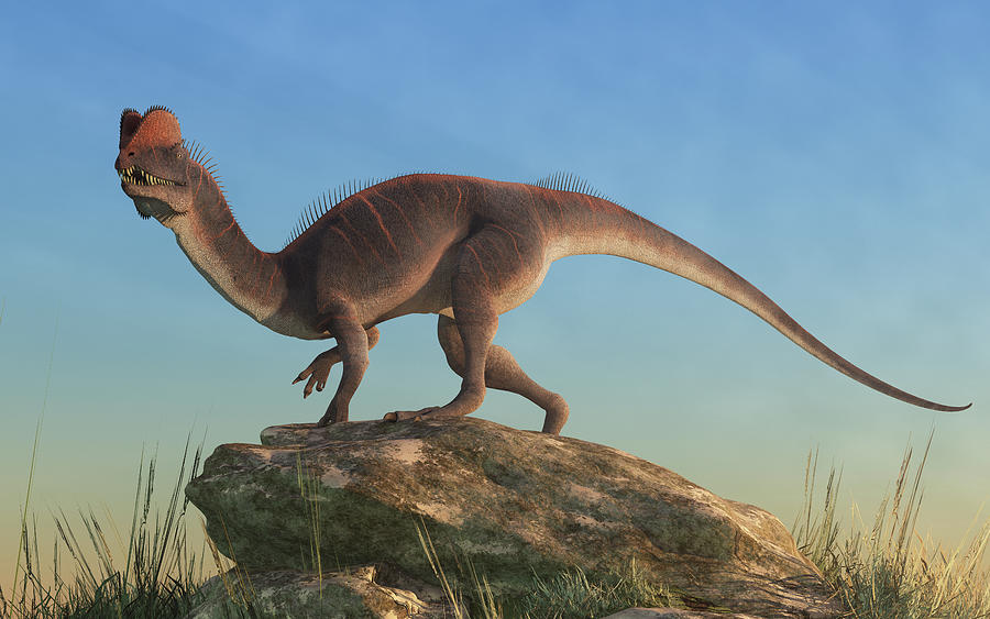 Dilophosaurus Dinosaur Art Print