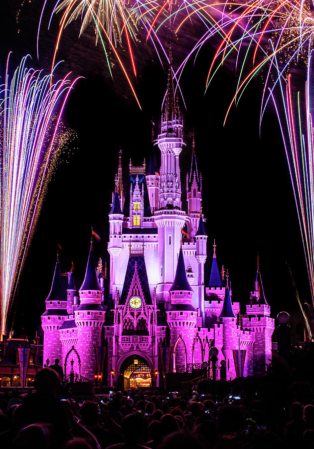 Disney World Fireworks Photograph by Mark Chandler | Fine Art America