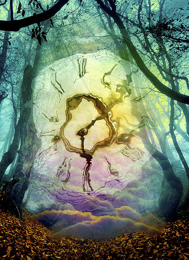 Distorted appearing vintage antique grandfather clock face with Roman numeral numbers and hour and second hands in a fantasy, surreal, dreamlike forest scene. #1 Photograph by Harald Sund