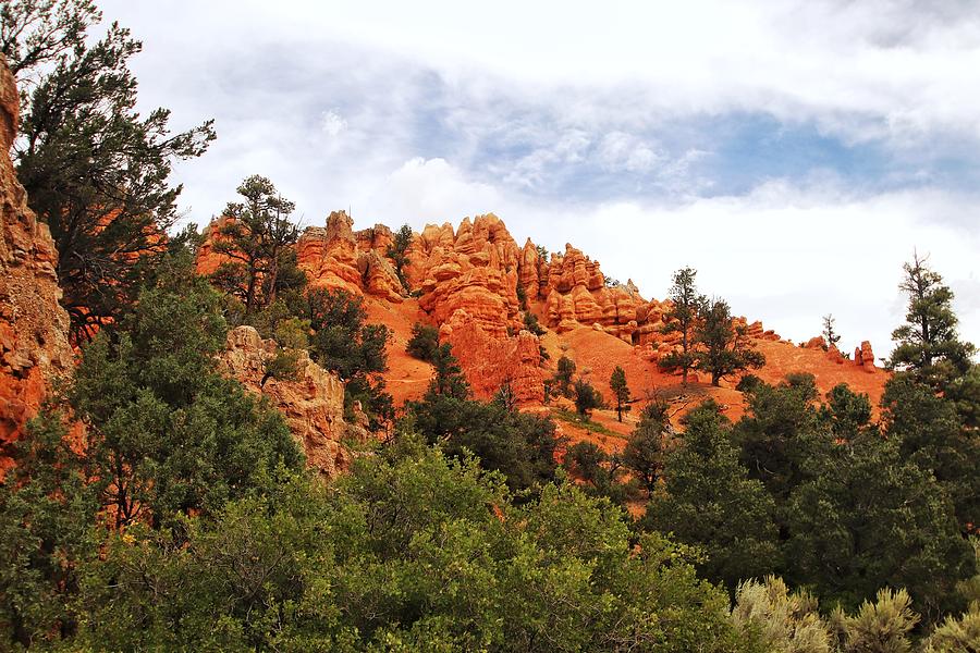 Dixie National Forest Red Canyon #1 Photograph by Susan Jensen