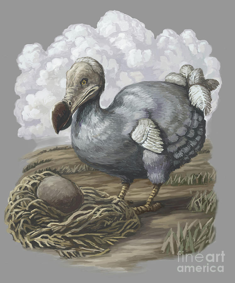 Dodo Bird, Illustration #1 Photograph by Spencer Sutton