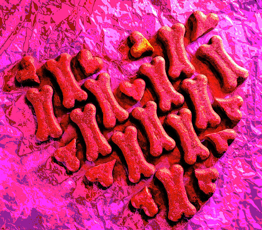 Dog Photograph - Dog Bone Heart On Pink #1 by Iris Richardson