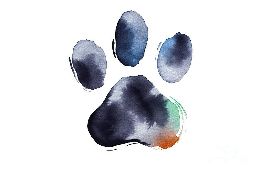Dog Or Cat Paw Print Graphic Illustration Cute Animal Element Fo #1  Painting by N Akkash - Fine Art America