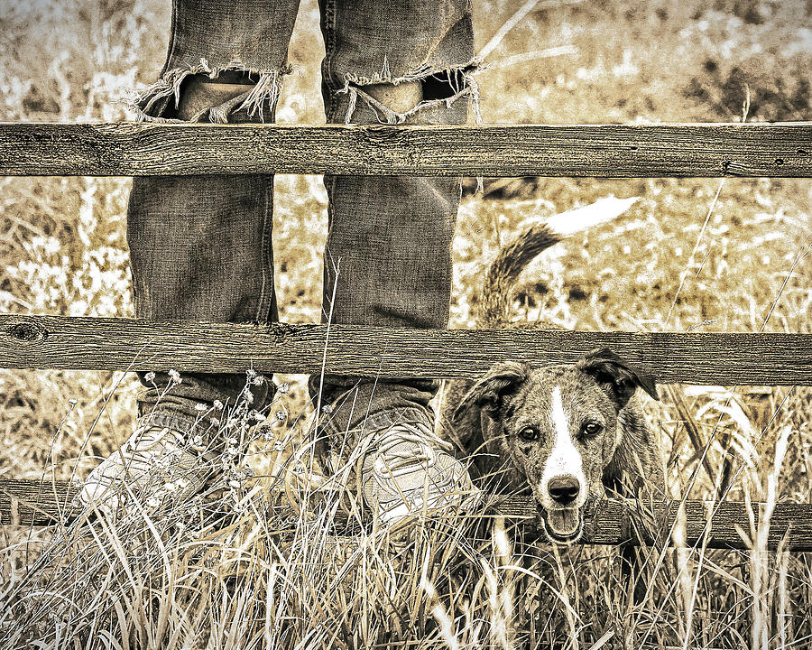 Dogs Best Friend #1 Photograph by Don Schimmel