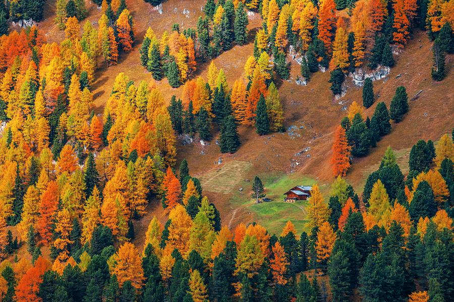 Dolomites Autumn foliage #1 Photograph by Songquan Deng