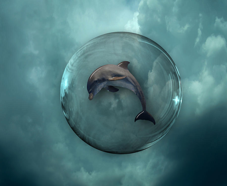 Dolphin Dream #1 Mixed Media by Marvin Blaine