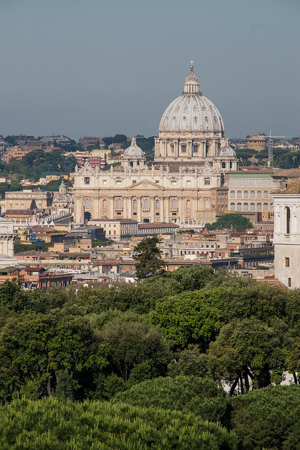 Garden Photograph - Dome of St. Peters Basilica #1 by David L Moore