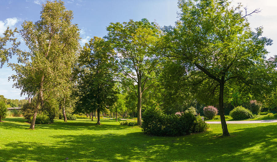 Donaupark in the district of Donaustadt, Vienna, Austria #1 Photograph by Peter Zelei Images