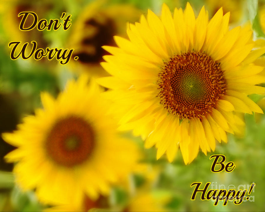 Dont Worry - Be Happy #1 Photograph by Kathy M Krause