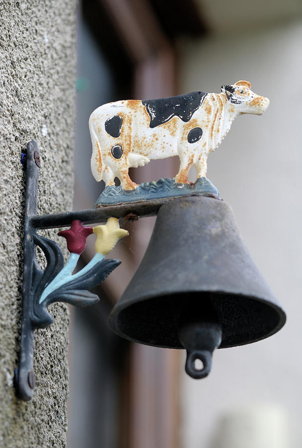 Doorbell With Cow Design, Ecluse 28 Argenvieres, Rue Saint-martin, Argenvieres, Cher, Centre, France Photograph