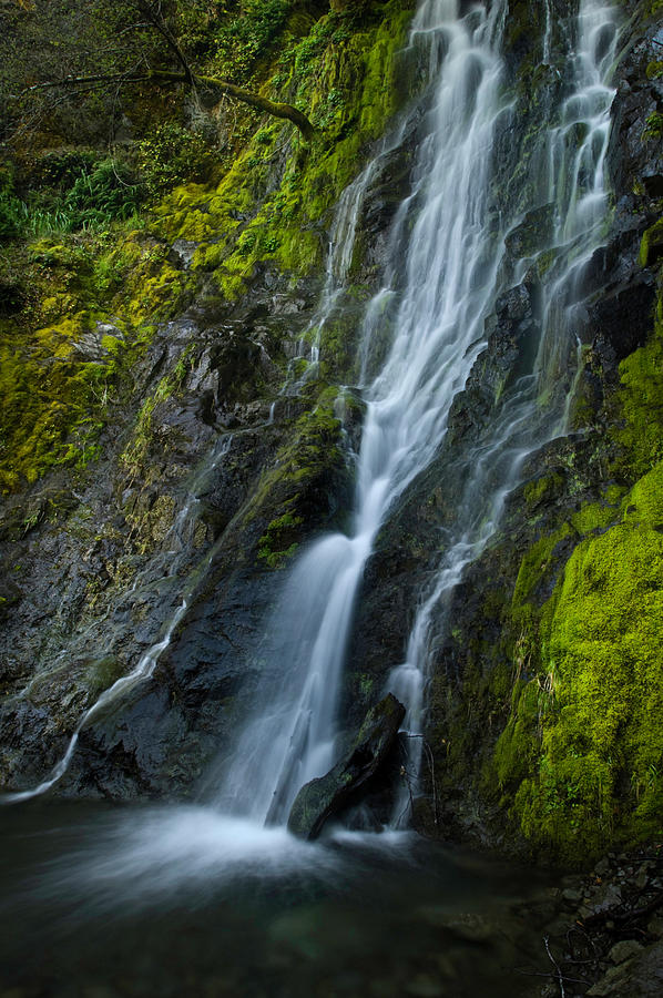 Dora Creek Photograph by Pierre Gaude - Fine Art America