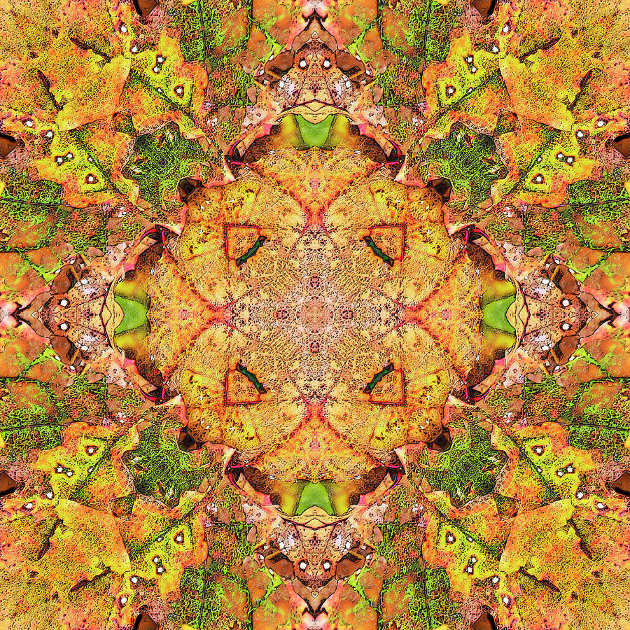 Dotted Leaves #1 Digital Art by Frans Blok