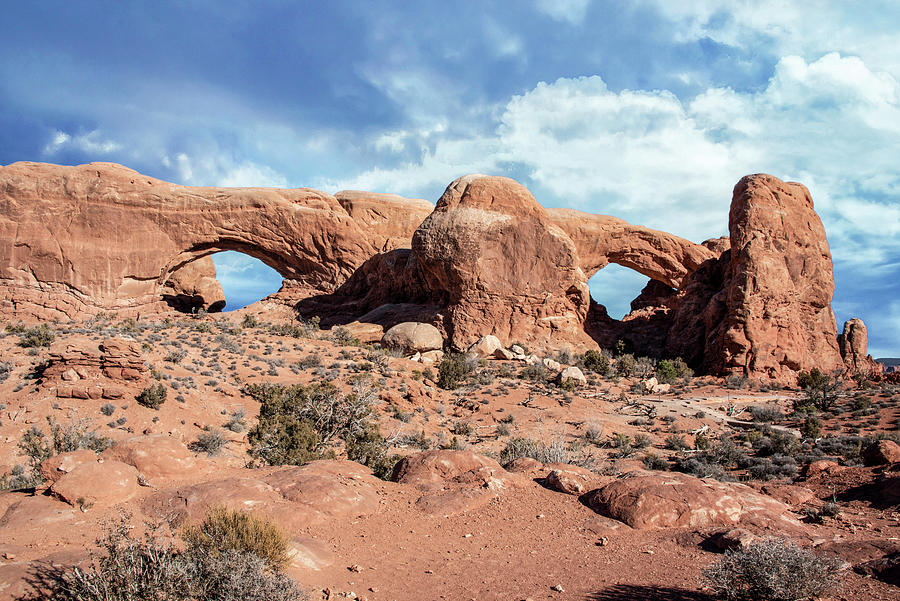 Arches National Park Photograph - Double Arches #1 by Gej Jones