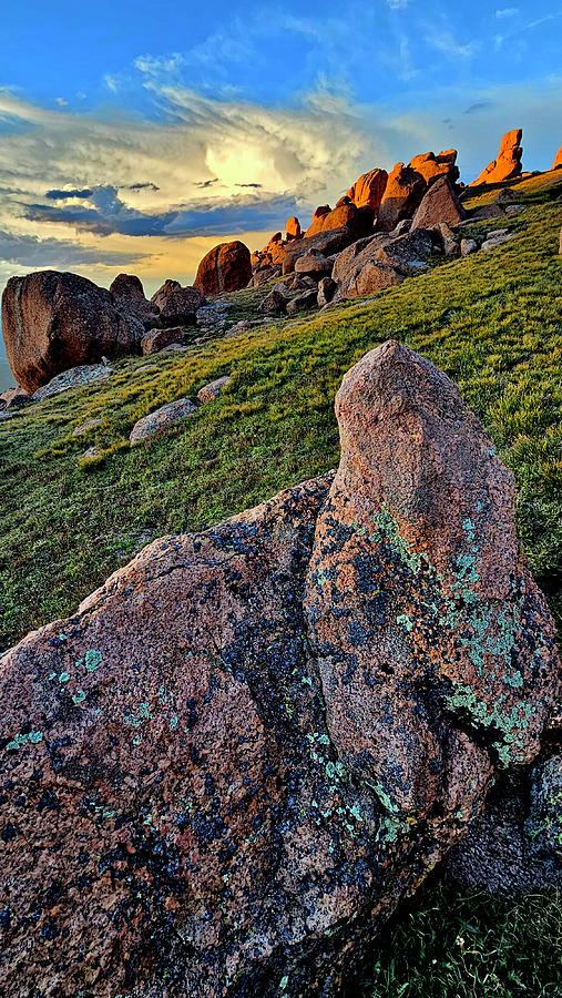 Double Cut Garden Sunset #1 Photograph by Ray Mathis Double Cut Garden Sunset #1 Photograph by Ray Mathis