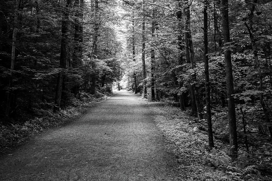 Black And White Photograph - Down the path #1 by Dan Urban