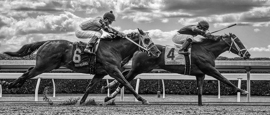 Sports Photograph - Down the Stretch #1 by USDA Lance Cheung