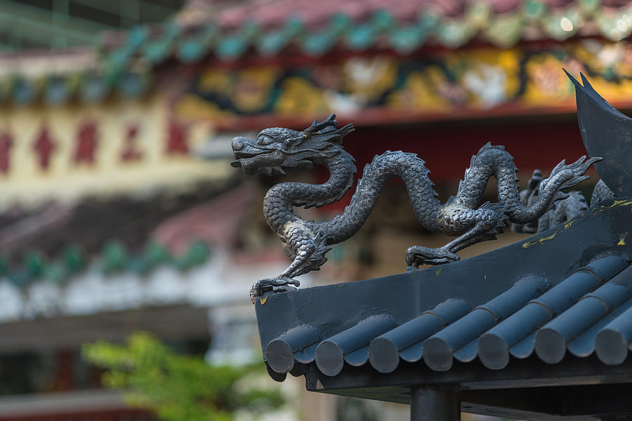 Dragon decoration on roof of almost pagoda temple, Cho Lon, Ho Chi Minh City #1 Photograph by Jethuynh